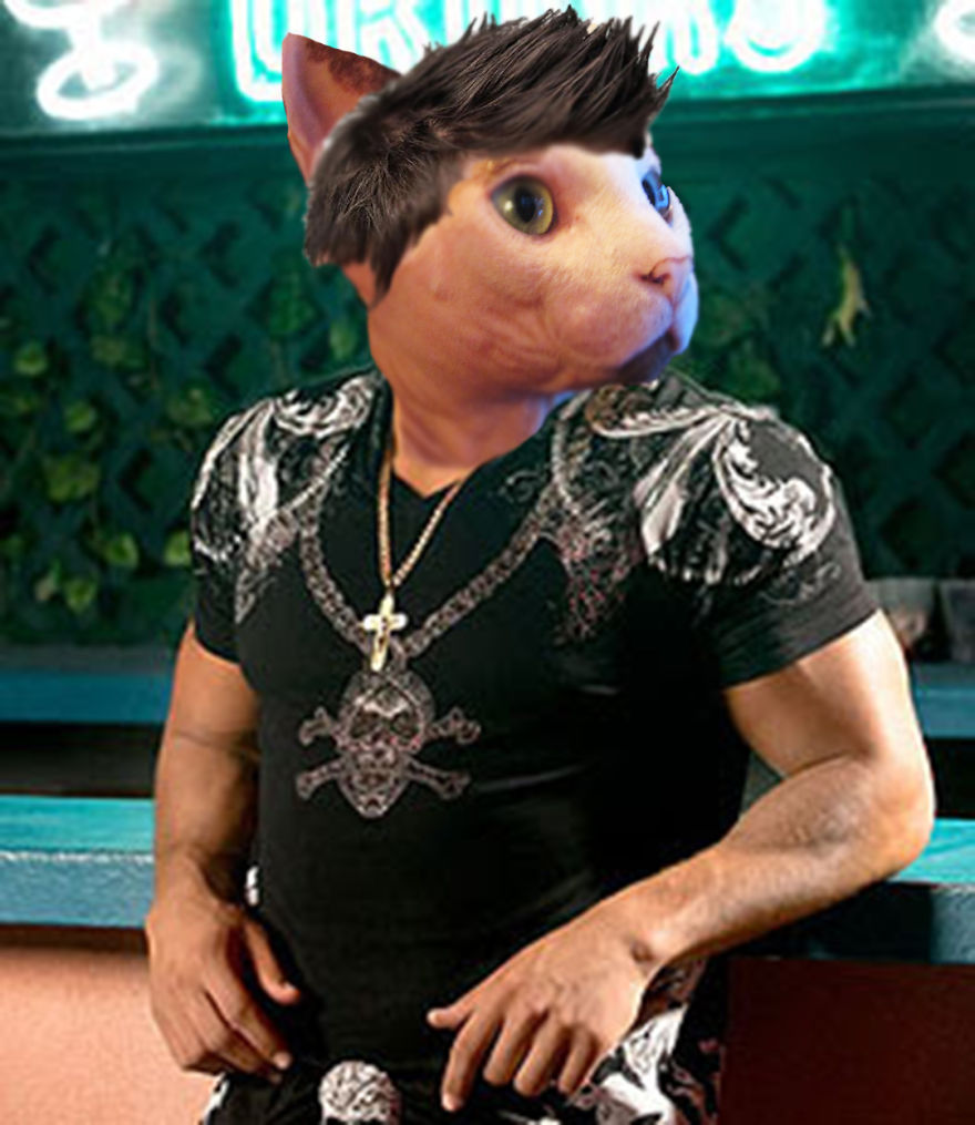 I Use Photoshop To Make My Sphynx Cat The Star Of Pop Culture Moments