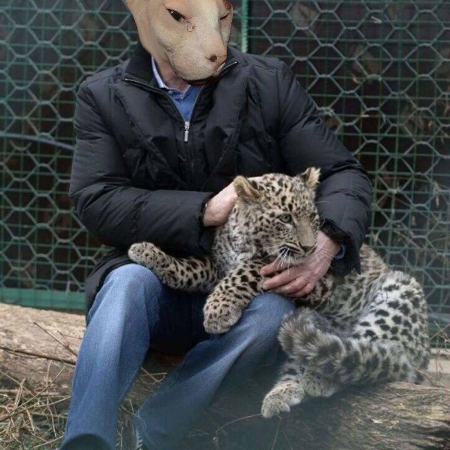 I Use Photoshop To Make My Sphynx Cat The Star Of Pop Culture Moments