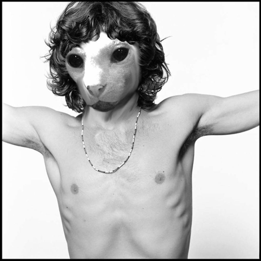I Use Photoshop To Make My Sphynx Cat The Star Of Pop Culture Moments