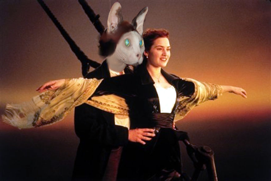 I Use Photoshop To Make My Sphynx Cat The Star Of Pop Culture Moments