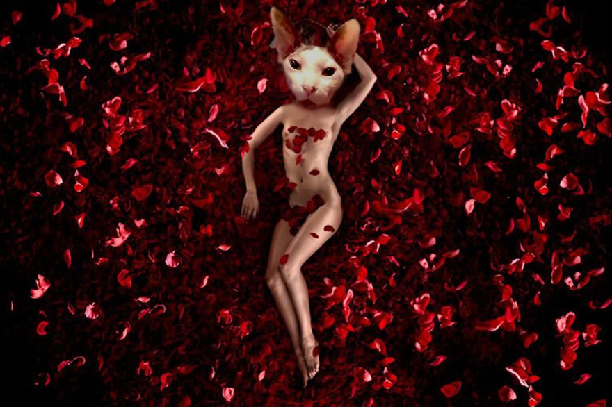 I Use Photoshop To Make My Sphynx Cat The Star Of Pop Culture Moments