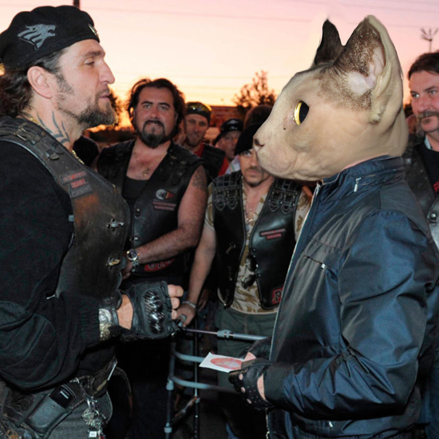 I Use Photoshop To Make My Sphynx Cat The Star Of Pop Culture Moments