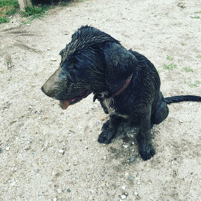 What Mud? I Didn't Go In Any Mud?