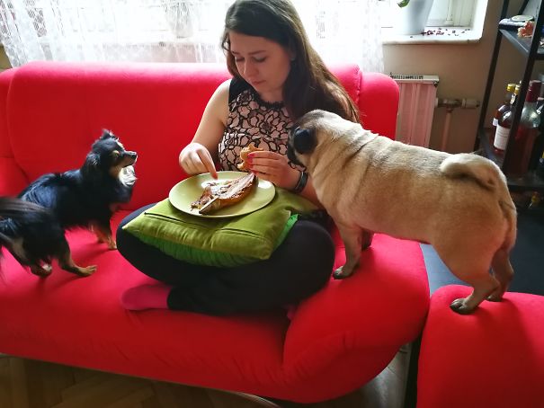 They Are Not Allowed To Watch Somebody Who Is Eating, So They Just Stare To Each Other