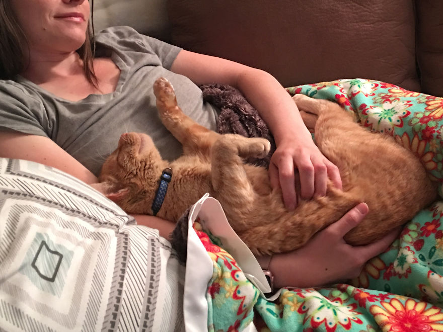 We Adopted A Stray Cat And He Can't Stop Showing His Gratitude