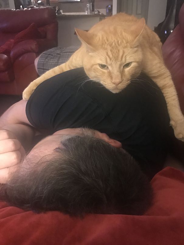 Walked In On My Husband And The Cat Having A Moment... I'm Not Sure The Cat Appreciated Being Interrupted.