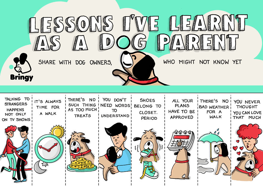 Tribute To Dog Owners - By Bringy