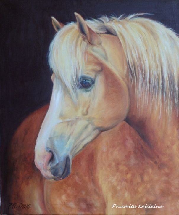 My Equestrian Art