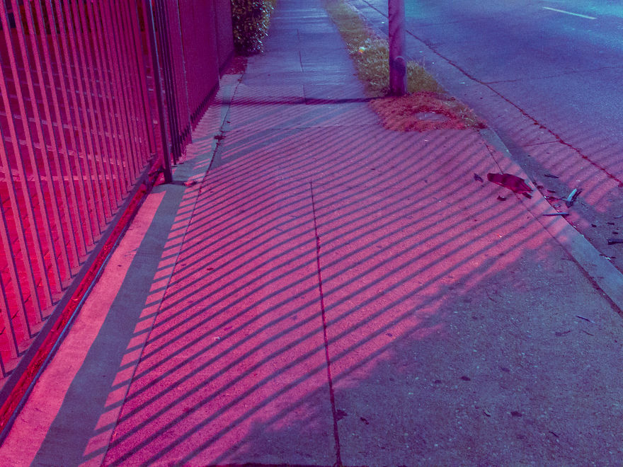 Sleepwalking In Los Angeles