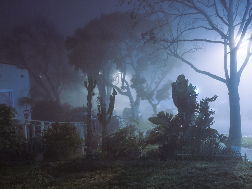 Sleepwalking In Los Angeles