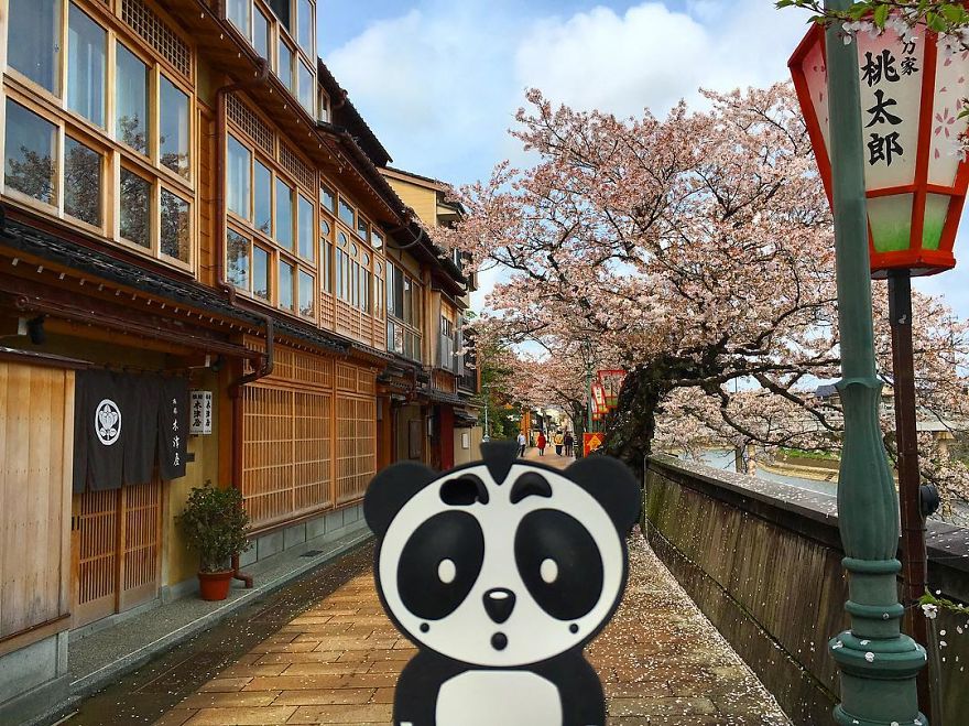 I Bring My Panda Iphone Cover Everywhere I Go On Holiday I Bring My Panda Iphone Cover Everywhere I Go On Holiday