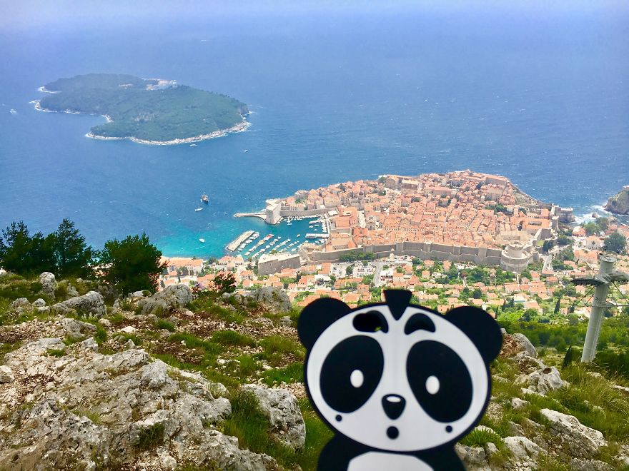I Bring My Panda Iphone Cover Everywhere I Go On Holiday I Bring My Panda Iphone Cover Everywhere I Go On Holiday