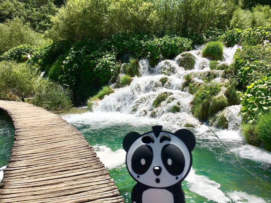 I Bring My Panda Iphone Cover Everywhere I Go On Holiday I Bring My Panda Iphone Cover Everywhere I Go On Holiday