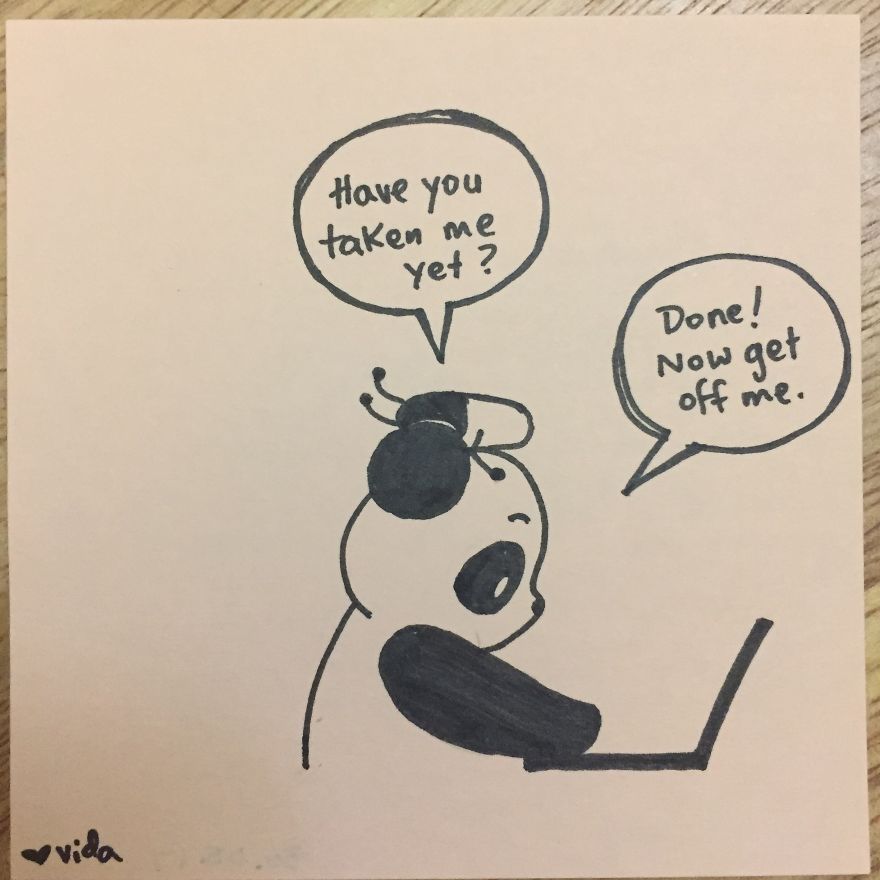 Panda And The Tablet