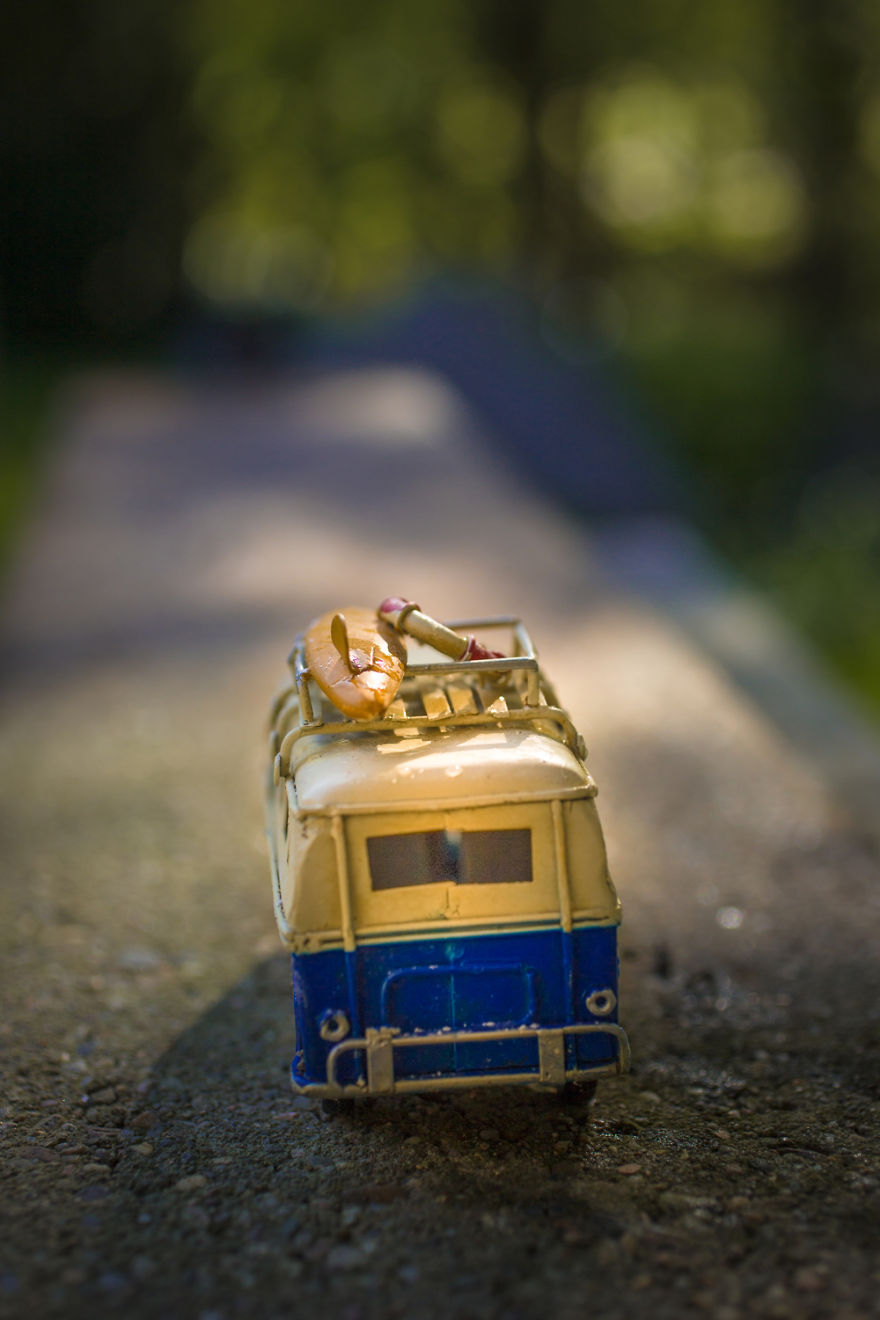 Adventure