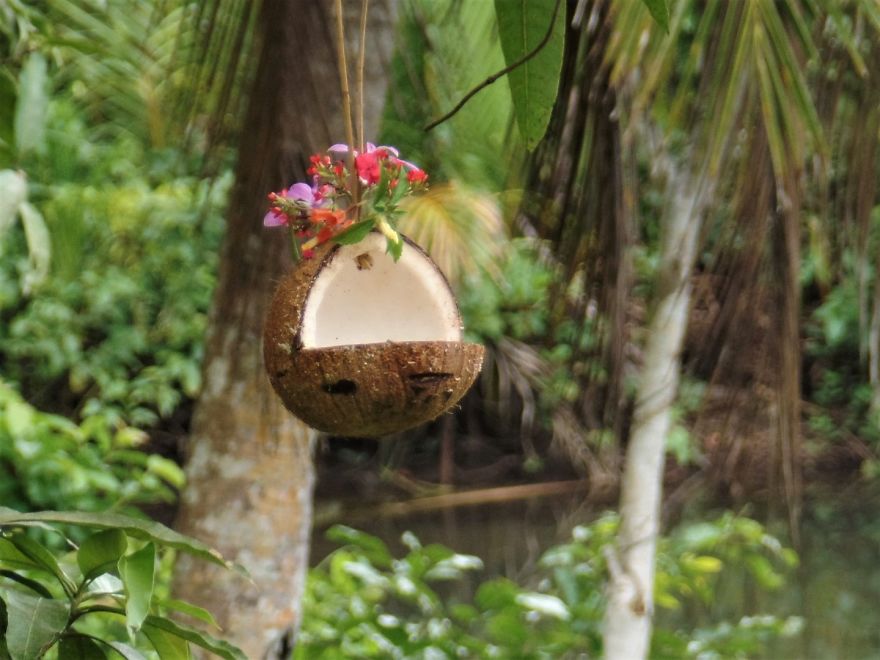 How To Make Bird Feeders In The Tropics