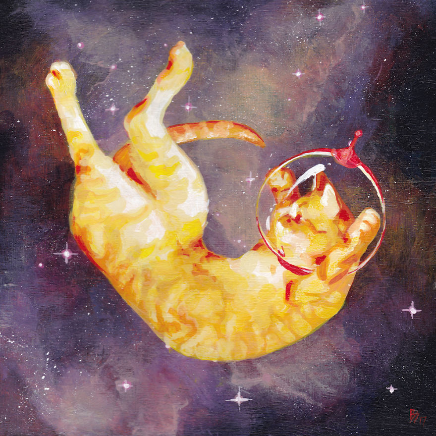 Space Cat Vii
