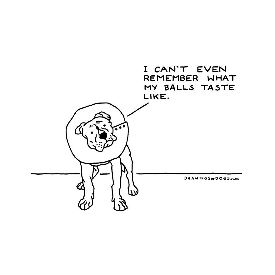 I Started Doing Amusing Drawings Of Dogs When Anxiety Forced Me To Drop Out Of A Philosophy Phd.