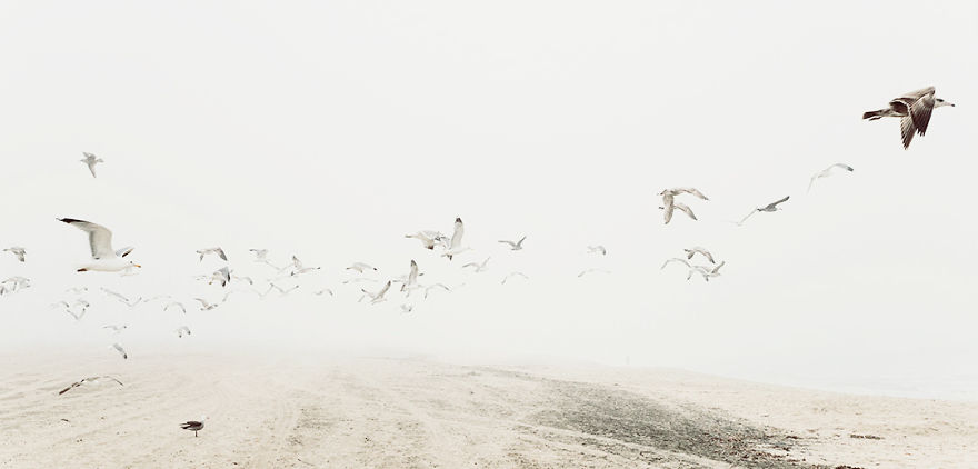 These Simple Fog Landscapes Will Take Your Breath Away