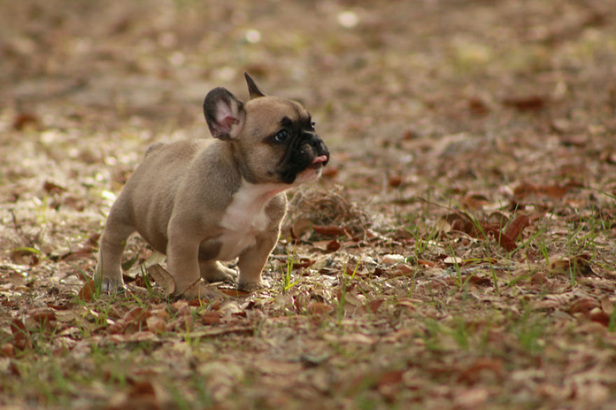 Photos That Should Be Memes