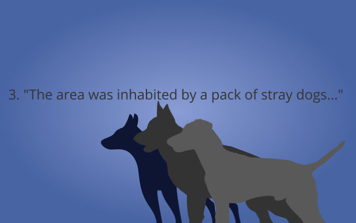 I Used The Vecteezy Editor To Illustrate Some Of My Favorite Airbnb Horror Stories