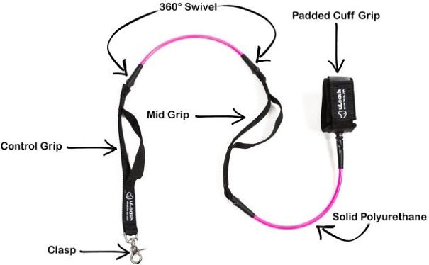 We Turned A Surf Leash Into A Dog Leash! We Turned A Surf Leash Into A Dog Leash!