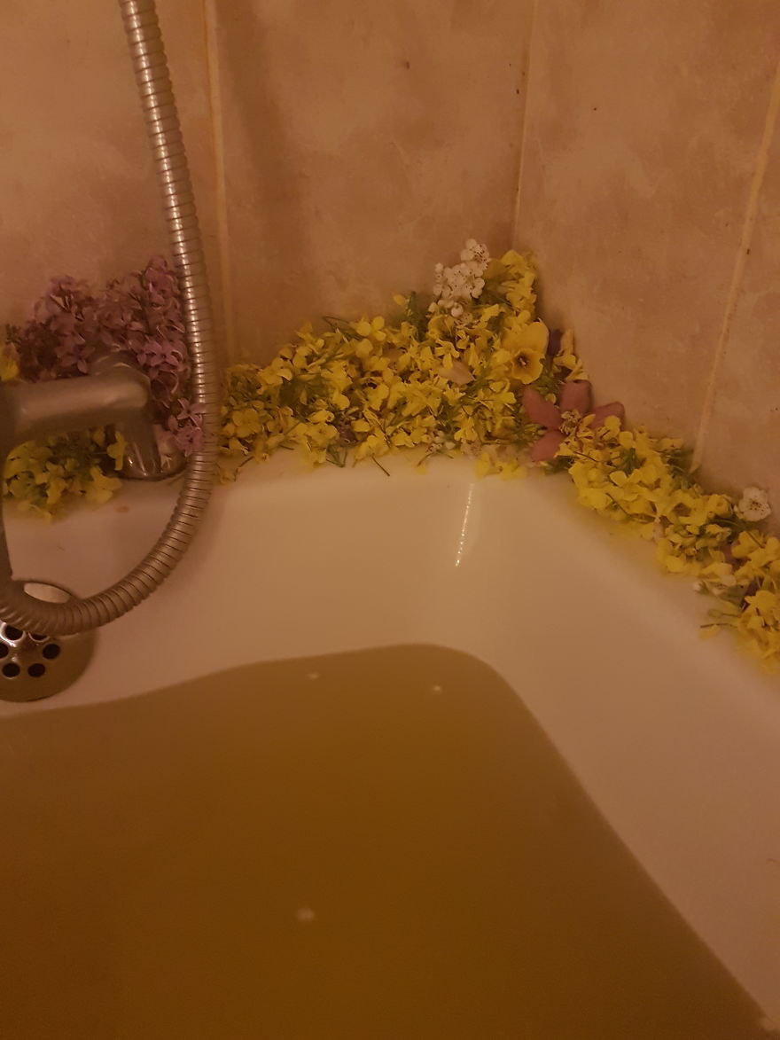 I Make Going Home And Relaxing In The Tub A Whole Other Level Of Chilling I Make Going Home And Relaxing In The Tub A Whole Other Level Of Chilling