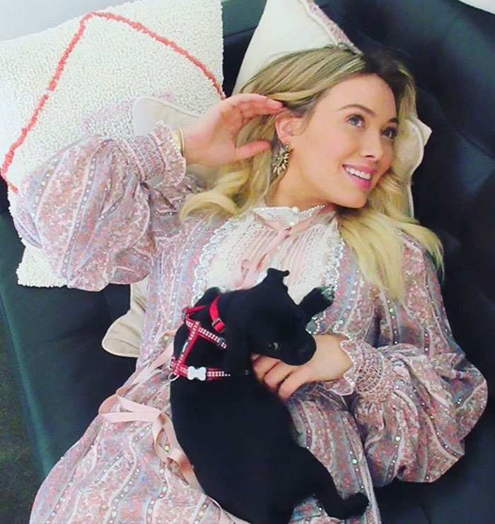 No One Wanted This Puppy Because It Was Different, So Hilary Duff Decided To Adopt It