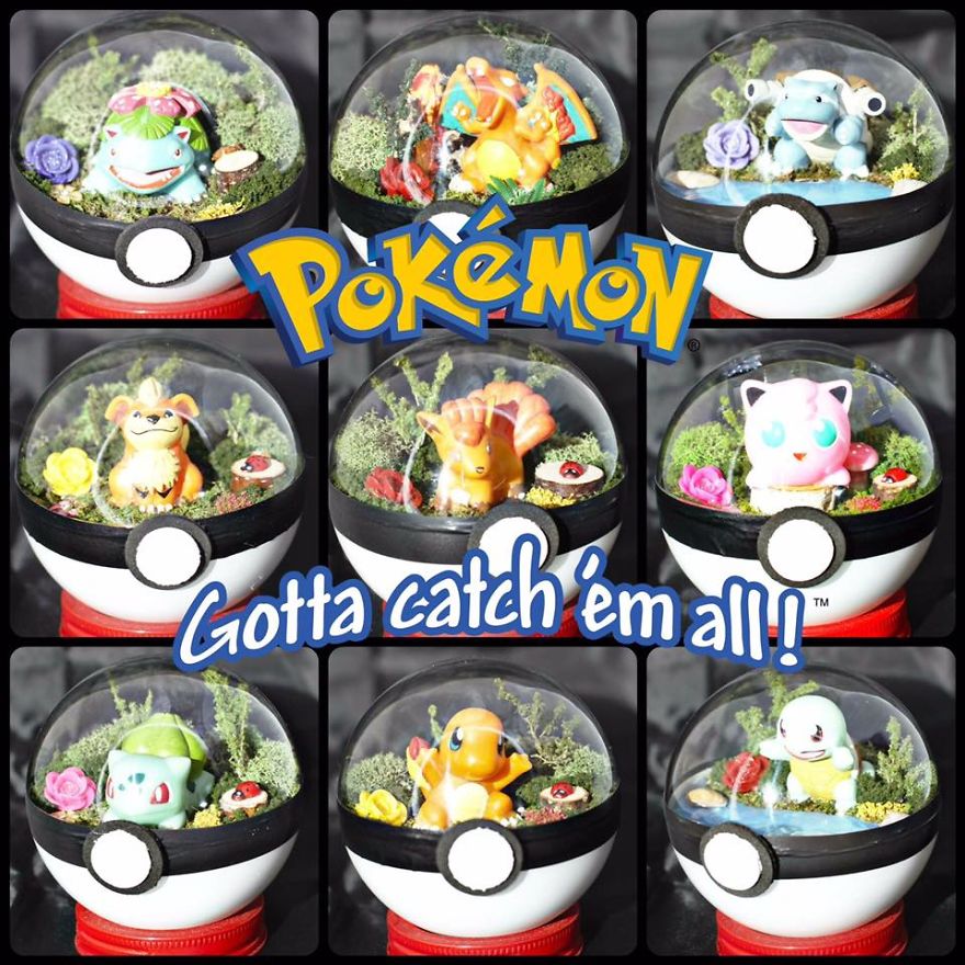 Handmade Pokeball Terrariums! Gotta Catch Em All! Handmade Pokeball Terrariums! Gotta Catch Em All!