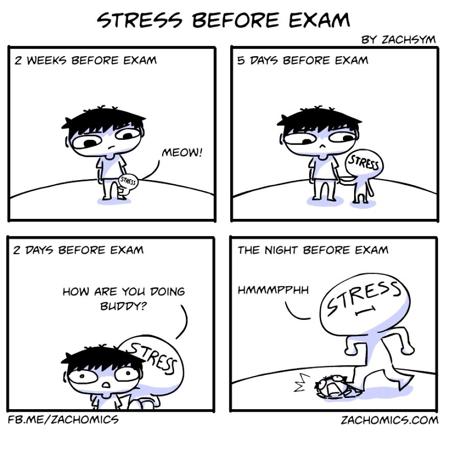 9 Funny Comics About The Challenges Of Exam Season