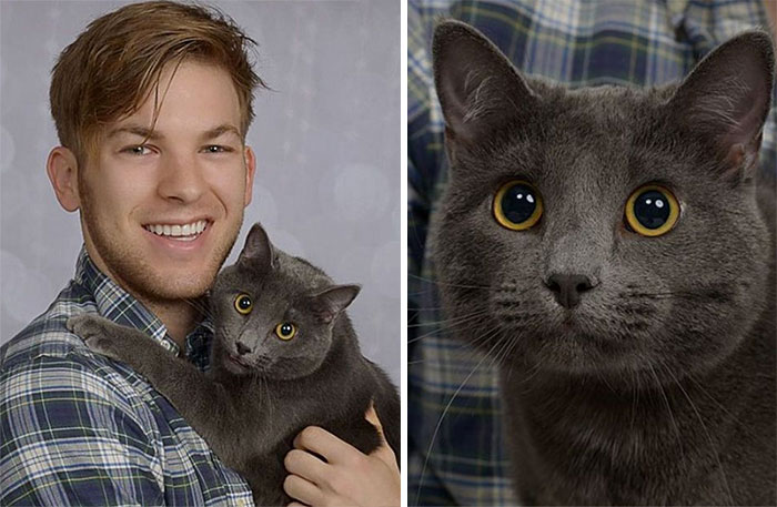 Guy Gets Professional Pictures With His Cat, And They End Up Looking Like Engagement Photos