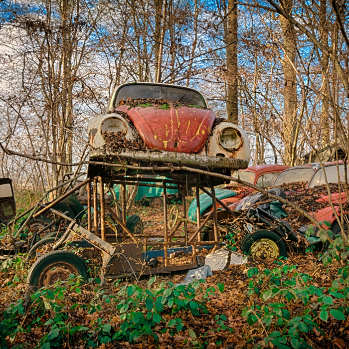 I Photographed Old Cars Lost In The Woods