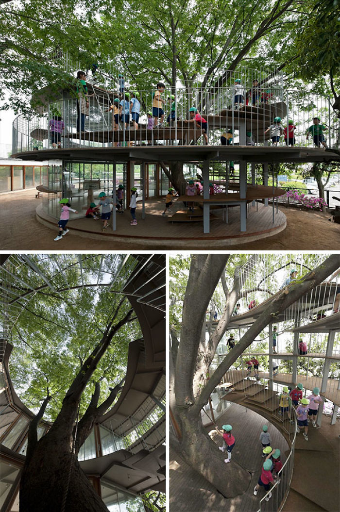 Patio de preescolar en Japón construido alrededor de un árbol