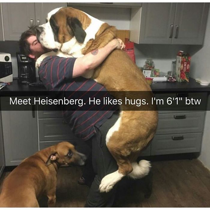 Never Too Big For Hugs