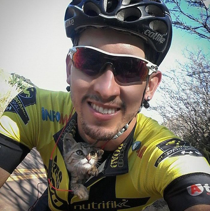 Cyclist Saves A Lost Kitten By Tucking Him In His Shirt, The Cat Can't Stop Kissing Him