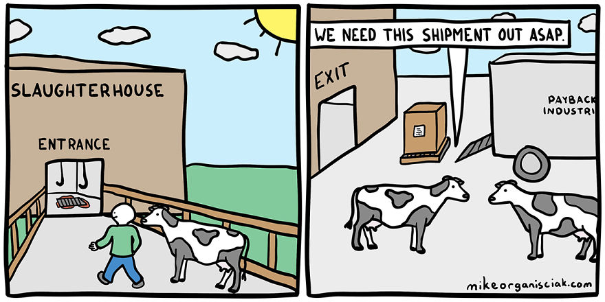 Comics with cows and a man in the Slaughterhouse 