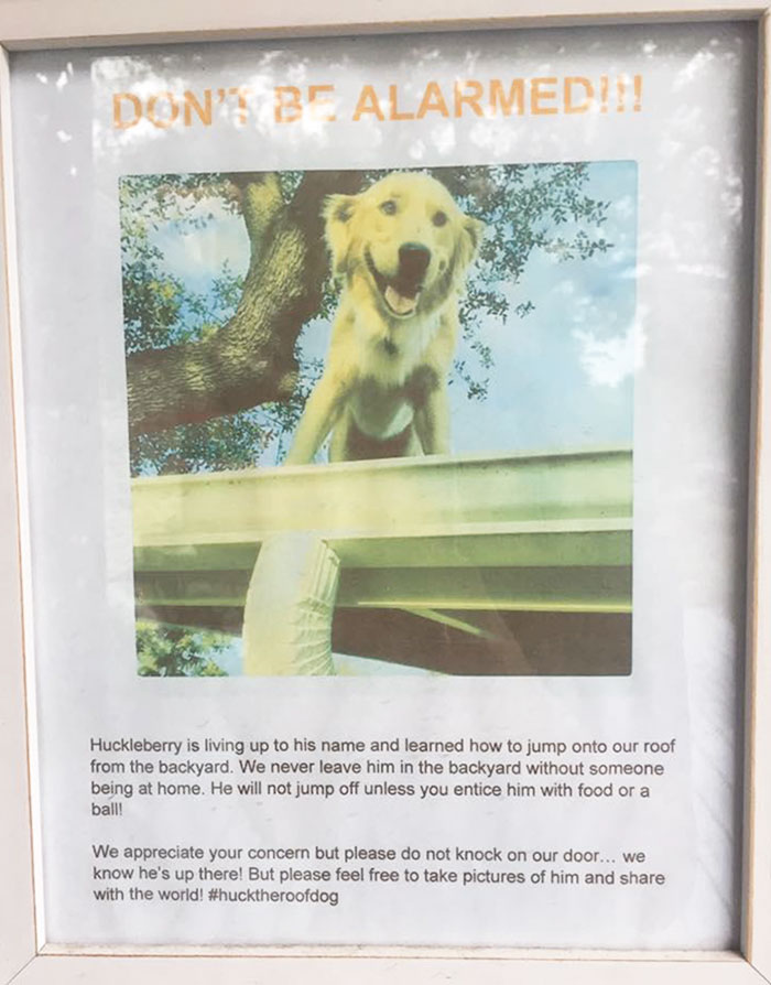 Family Makes Sign To Explain Why Their Dog Is On The Roof, And It Becomes An Internet Sensation