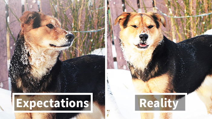 Expectations Vs. Reality: How You Imagine Your Photos To Look Like Versus How You Actually Look