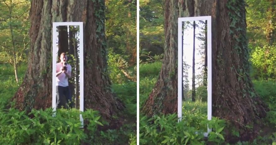 This Illusion Of The Forest Mirror Is Driving The Minds Of The People Crazy.