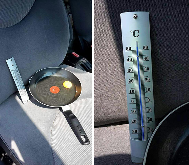 Guy Leaves Egg In Car During Hot Day To Show Why You ...
