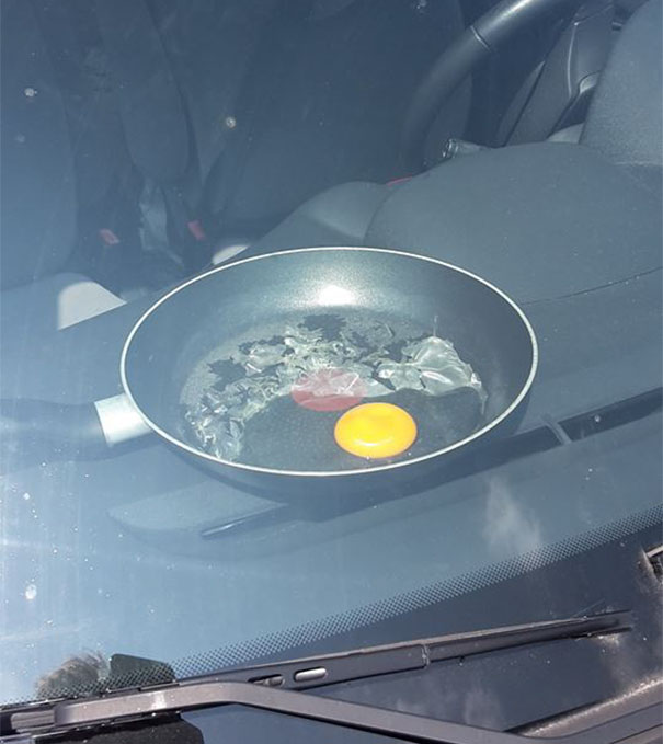 Guy Leaves Egg In Car During Hot Day To Show Why You Should Never Leave Your Dog There