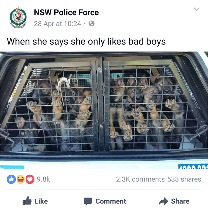 Nsw Police Post