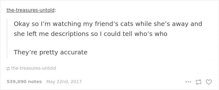 Cat-Sitter Shares The Note She Got From The Owner, And It's Hilarious