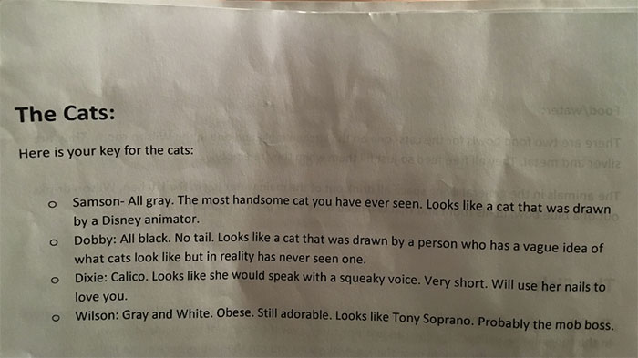 Cat-Sitter Shares The Note She Got From The Owner, And It's Hilarious