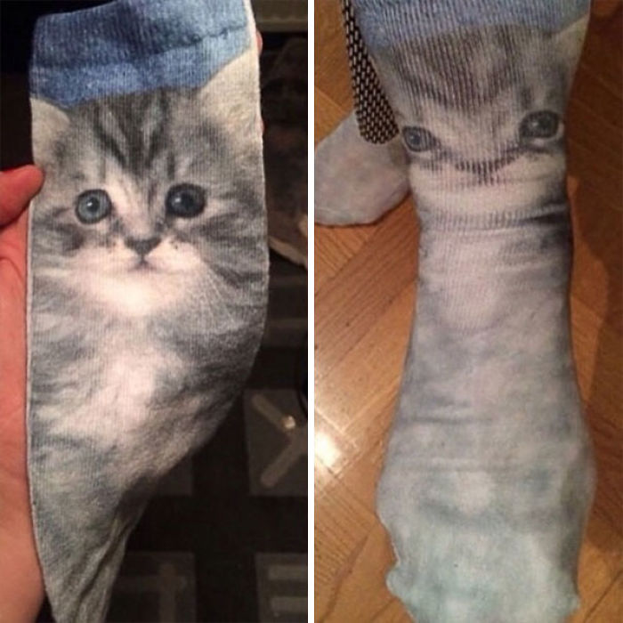Pobre gatito calcetín