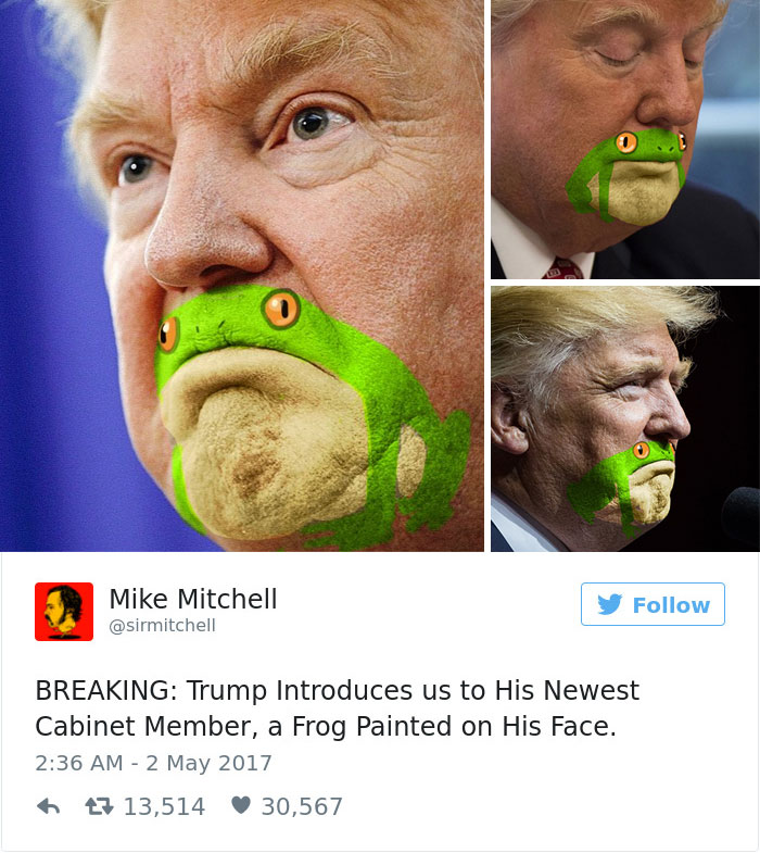 funny-donald-trump-frog-1