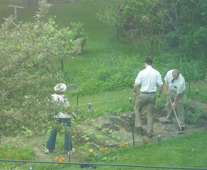 Los mormones querían hablar con mi madre, así que ahí están, ayudándola en el jardín