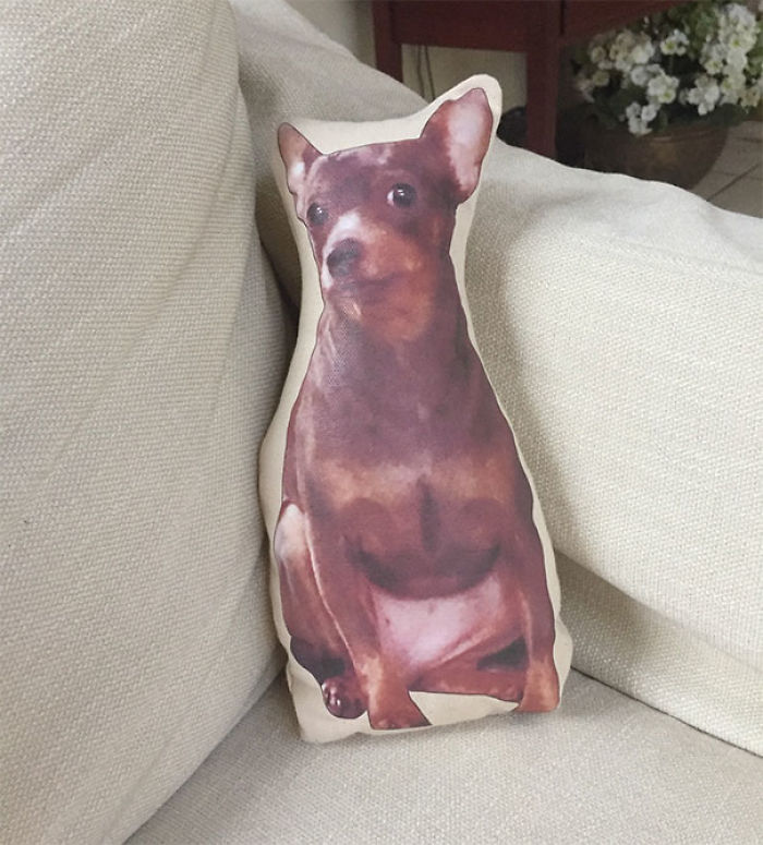 Mi madre me ha hecho un almohadón con la forma de mi perro