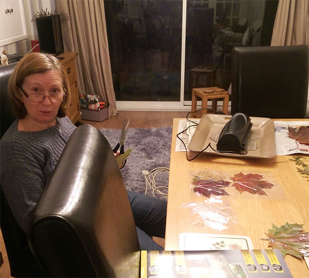 Mother Has Only Been Retired Two Months And Has Resorted To Laminating Leaves