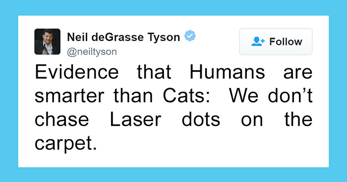 Neil deGrasse Tyson Tries To Make Fun Of Cats On Twitter, Gets Totally Destroyed By One